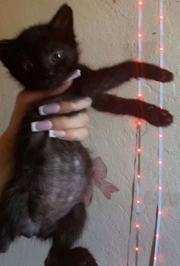 Big Boi