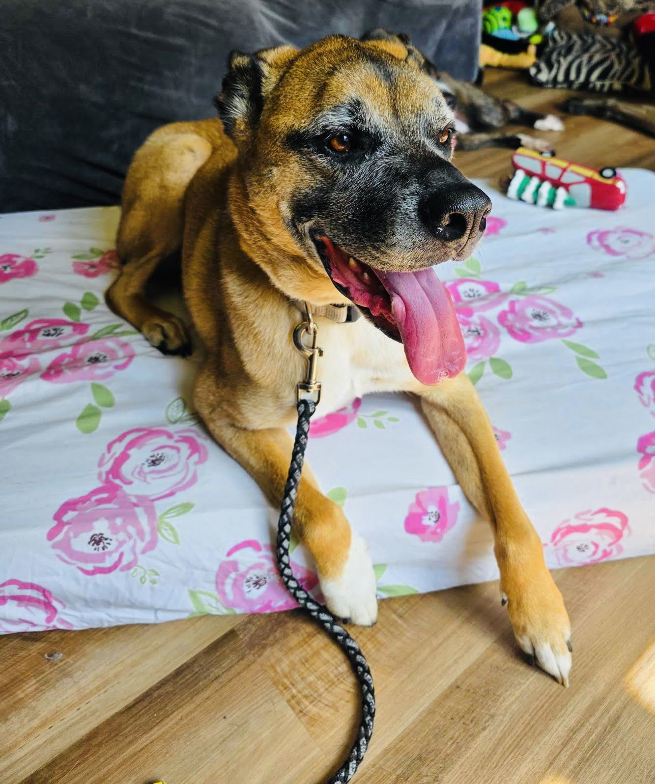 Tyson