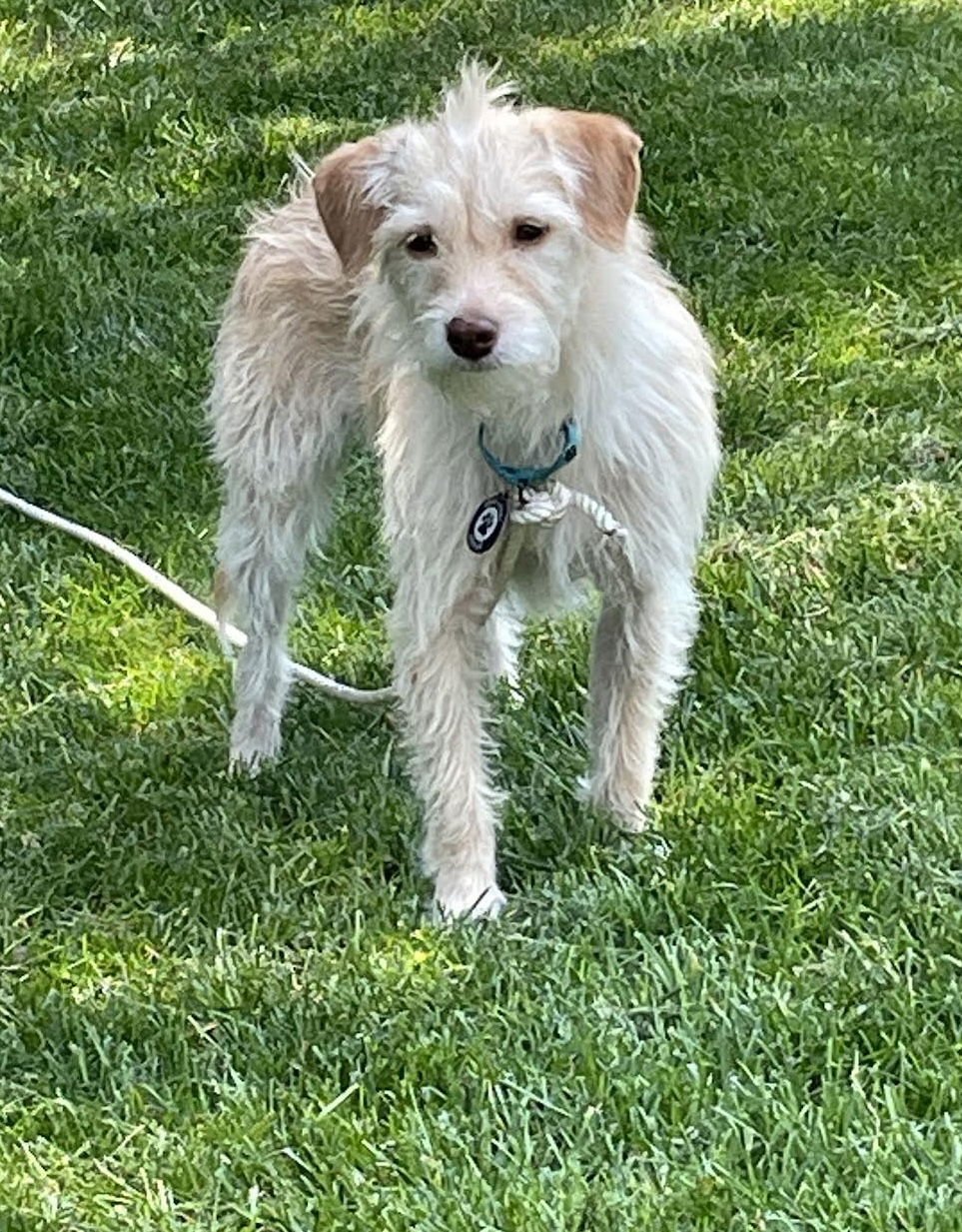 Barkley