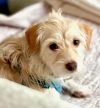 Barkley photo 2