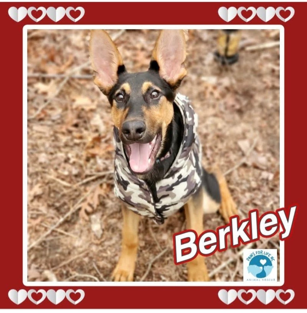 Berkley