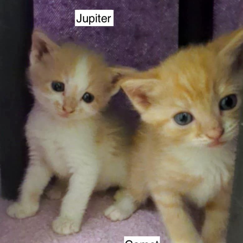 Jupiter
