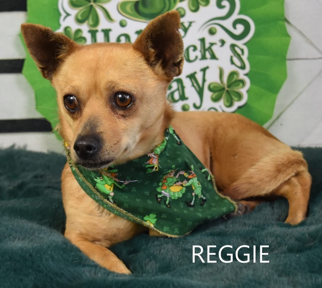 Reggie