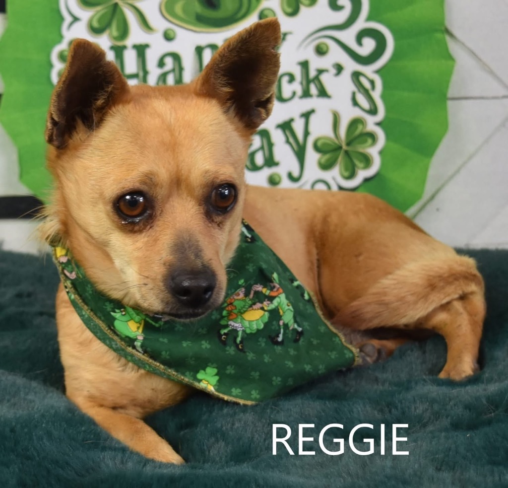 Reggie