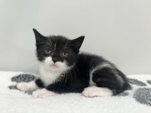 Katara, Baby Female unknown