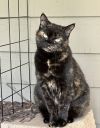 Mabel photo 1