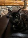 Mabel photo 3