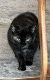Mabel photo 5