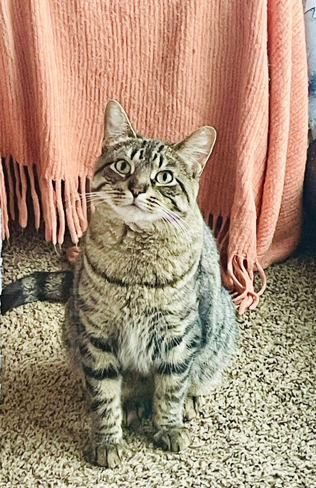 Ramona