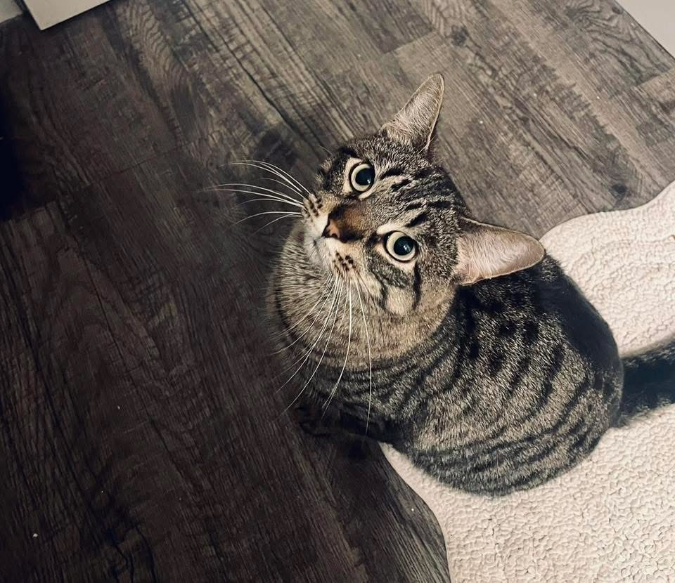 Ramona