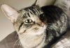Ramona photo 6