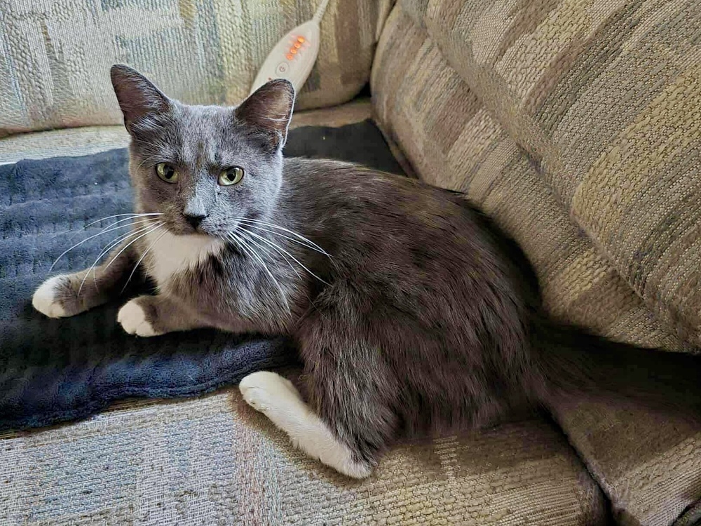 Mama Luna