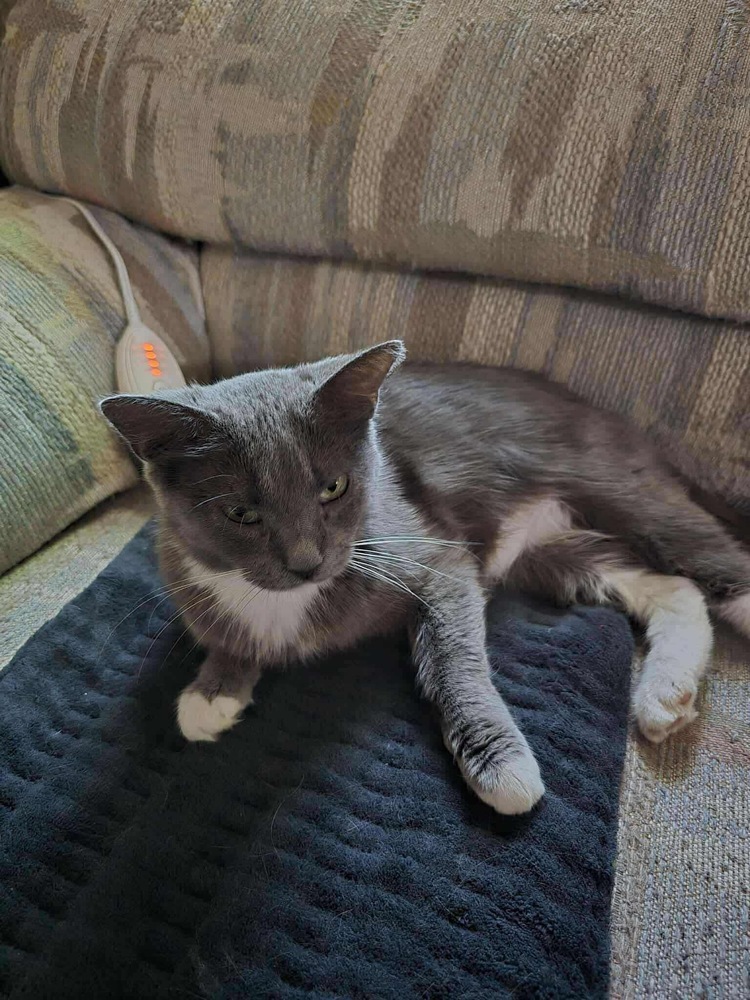 Mama Luna