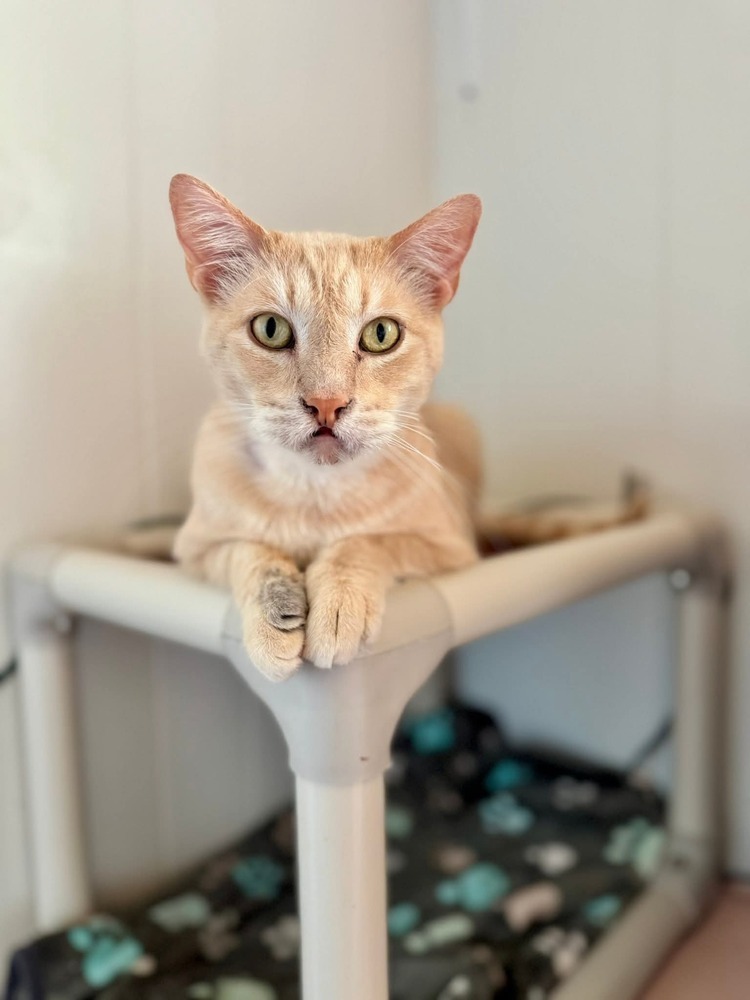Rusty