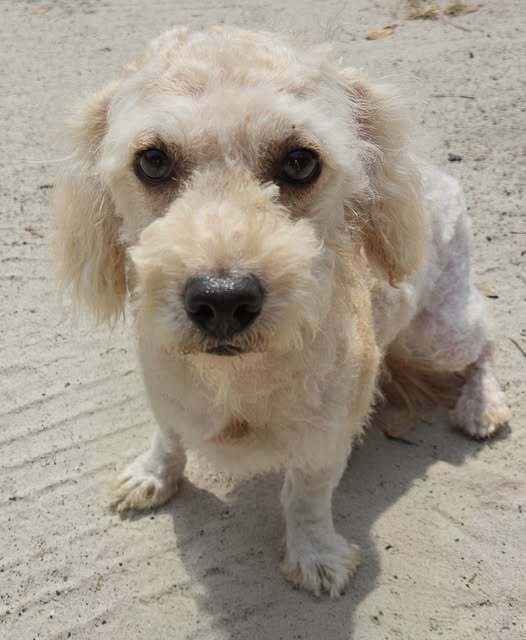 Mimi