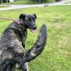 Nala photo 1