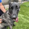 Nala photo 2
