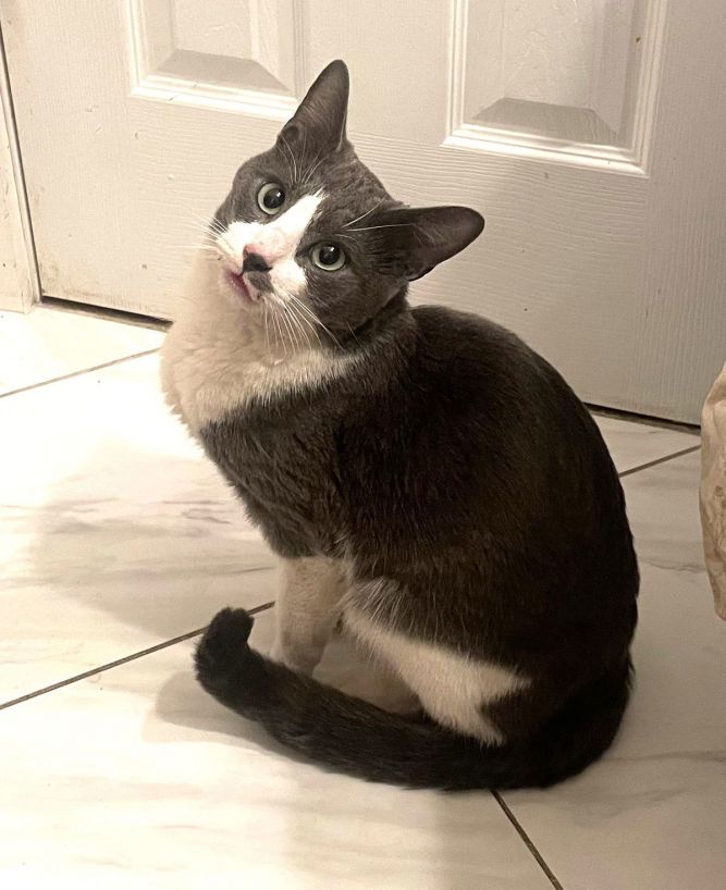 Trouble Loves Me