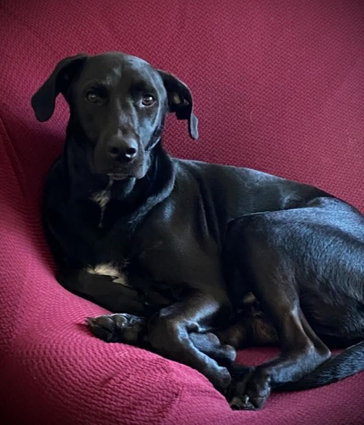 Charlie 3