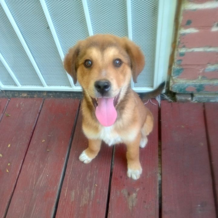 Marley 1