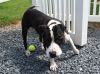 Diesel photo 1