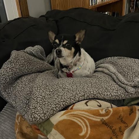 Lulu