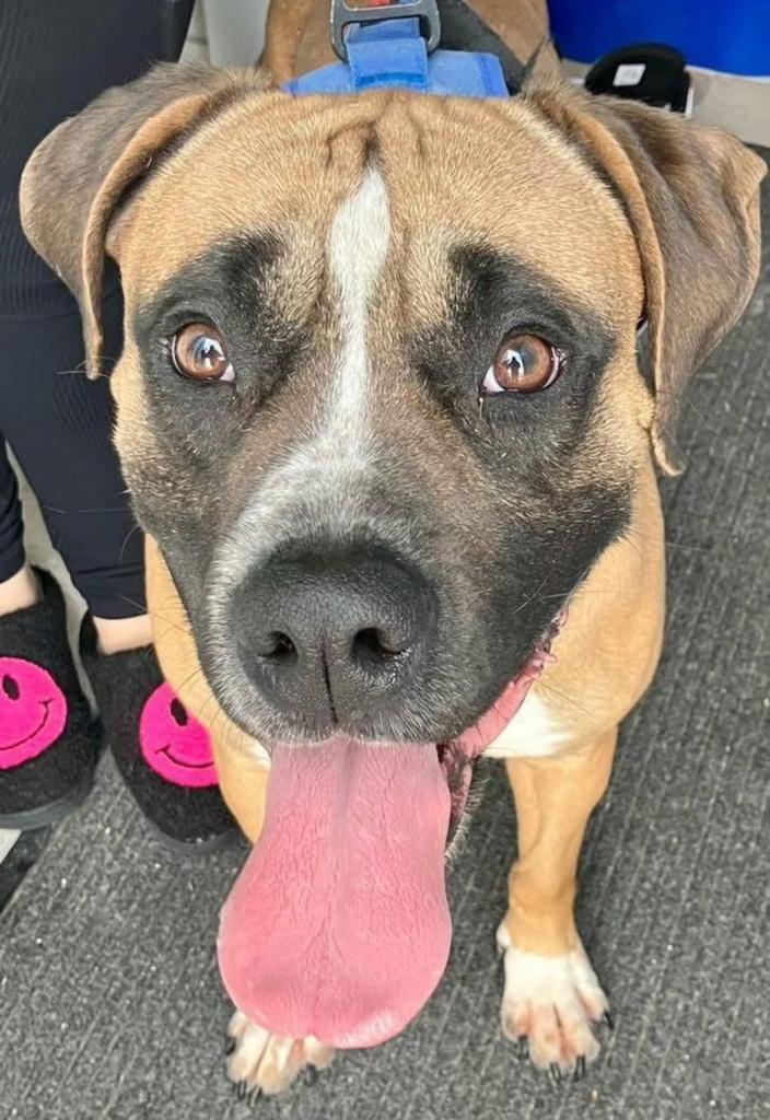Milo