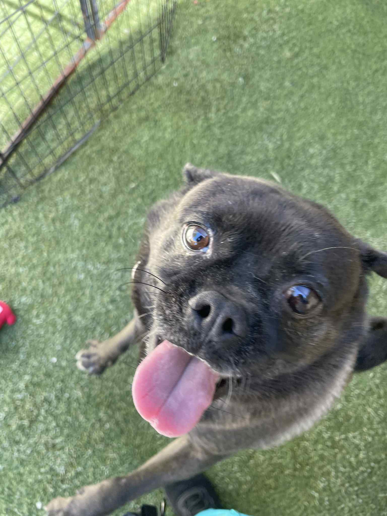 Pablo