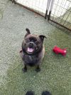 Pablo photo 2