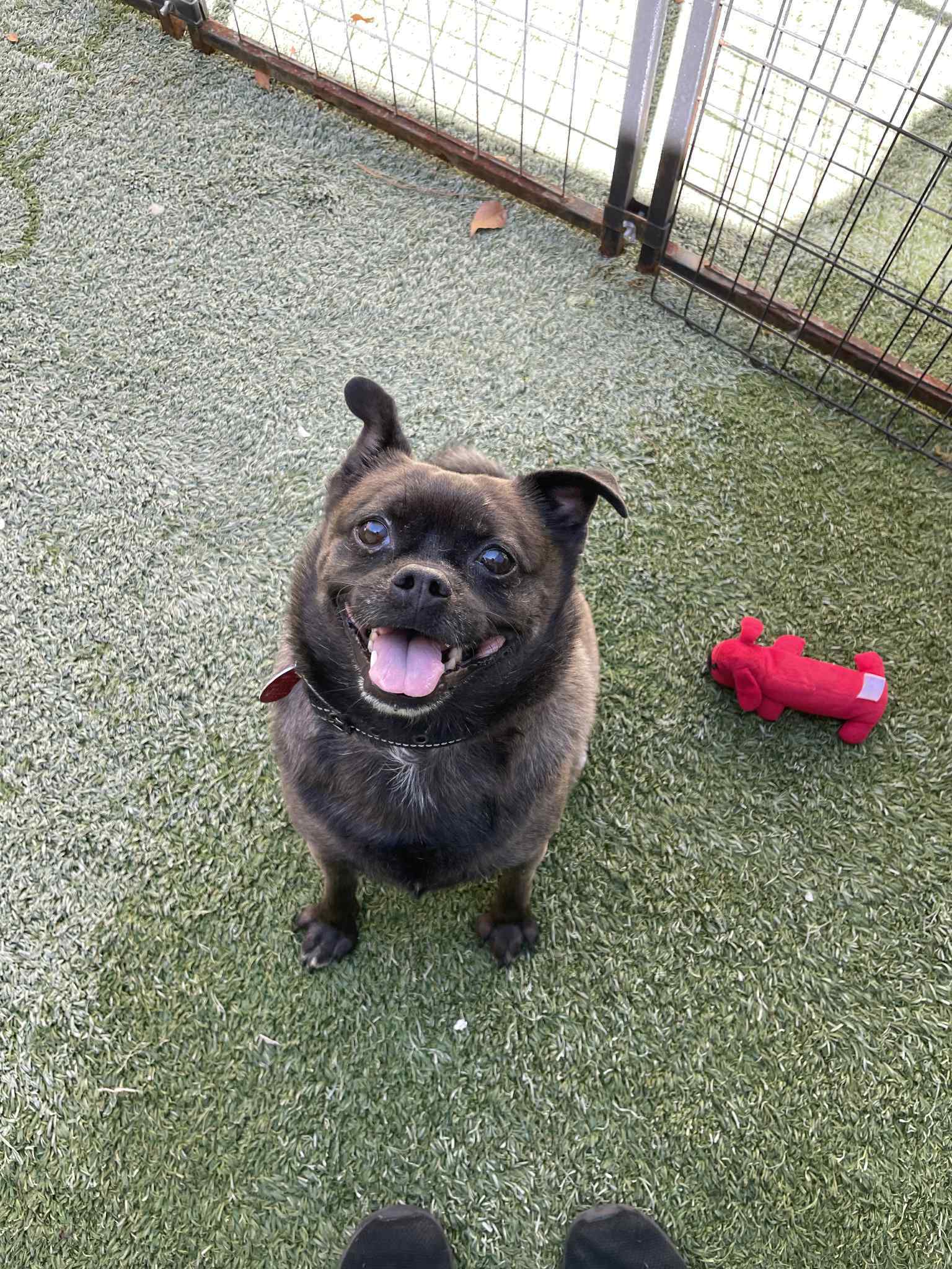 Pablo
