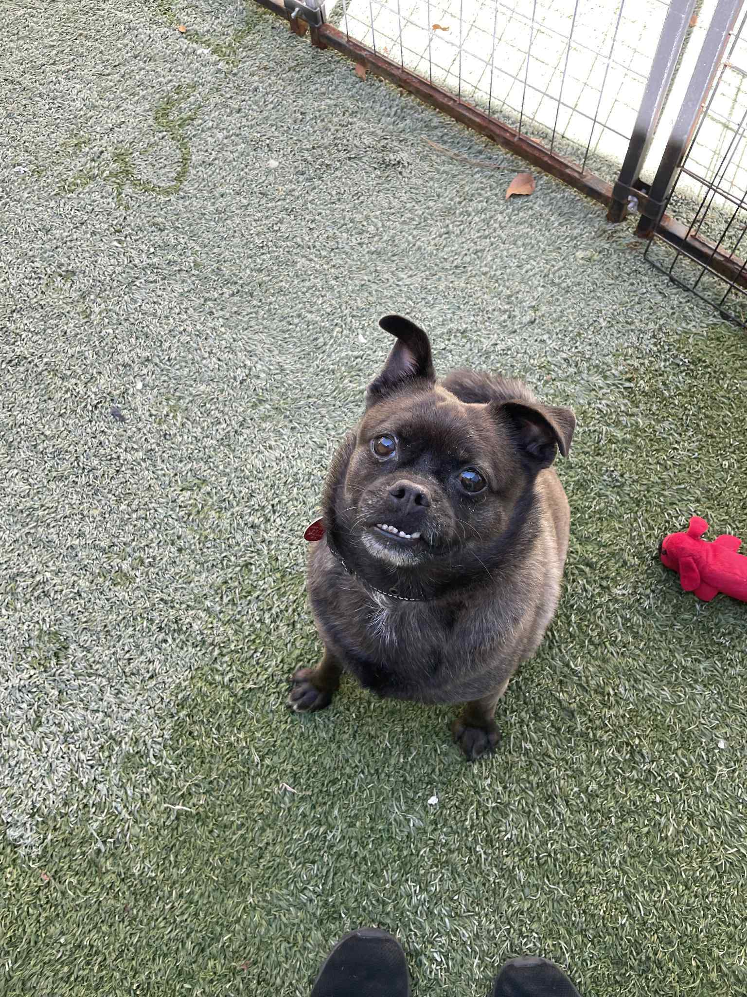 Pablo