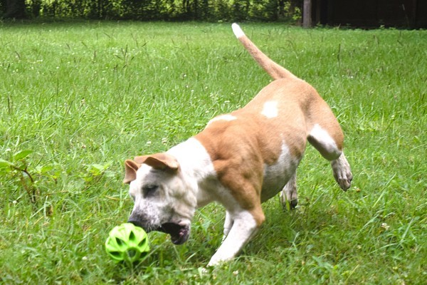 Fiona