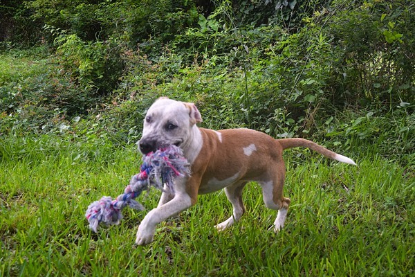 Fiona