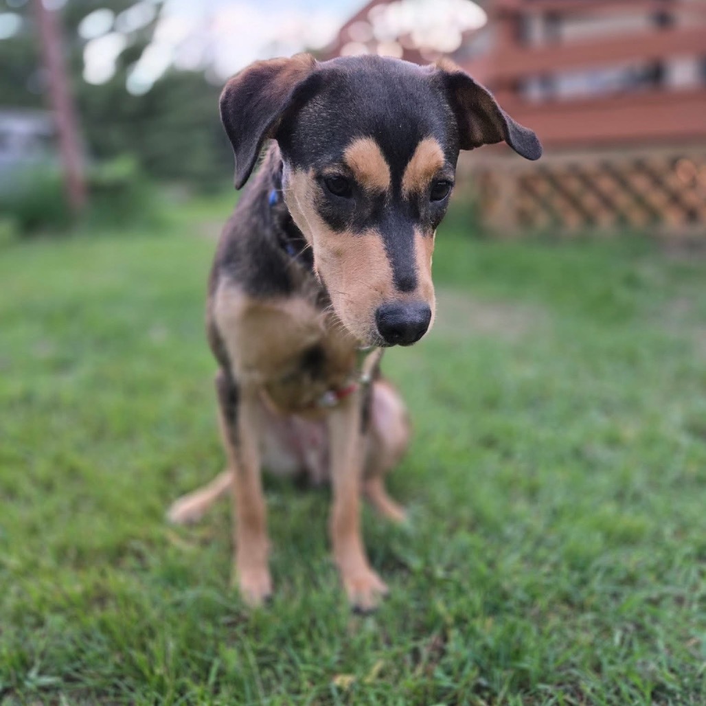 Charlie