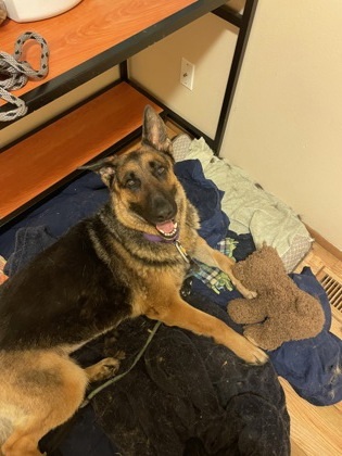 Nala