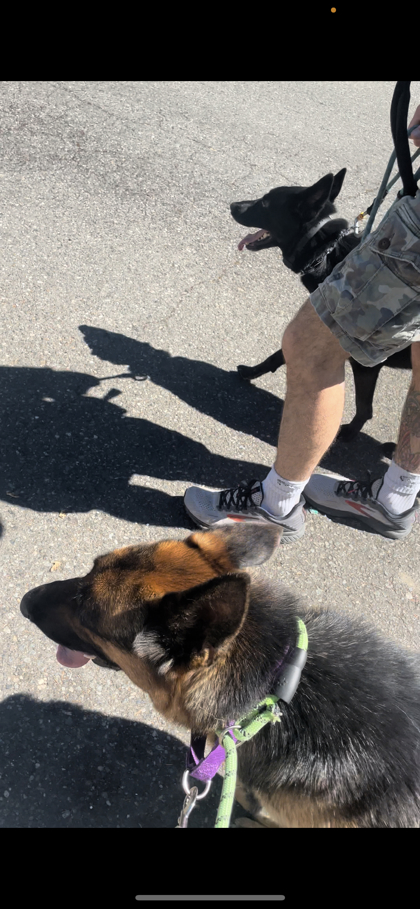 Nala
