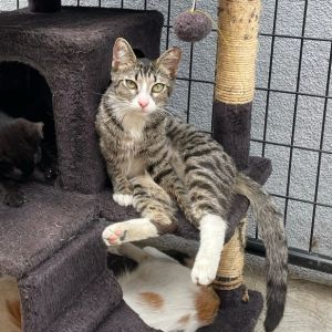 Ashley and her sister Kate were both pregnant and dumped in a business lot along