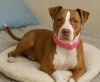 Maizie photo 1