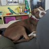 Maizie photo 3