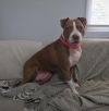 Maizie photo 4
