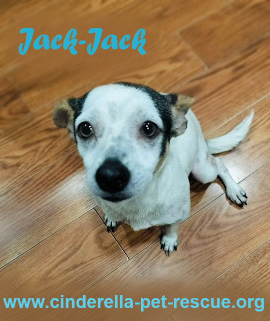 Jack-Jack