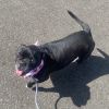 Chata photo 6