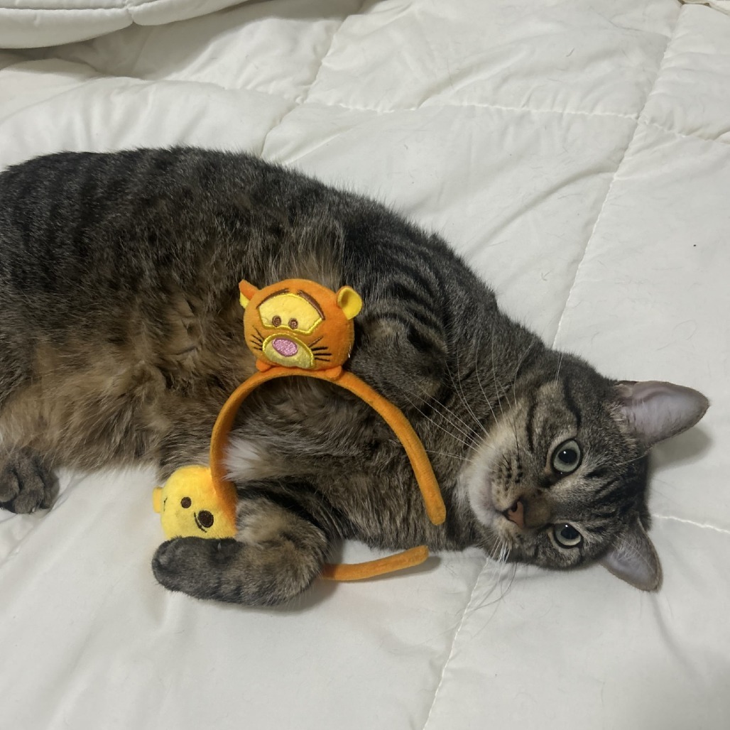Olaf