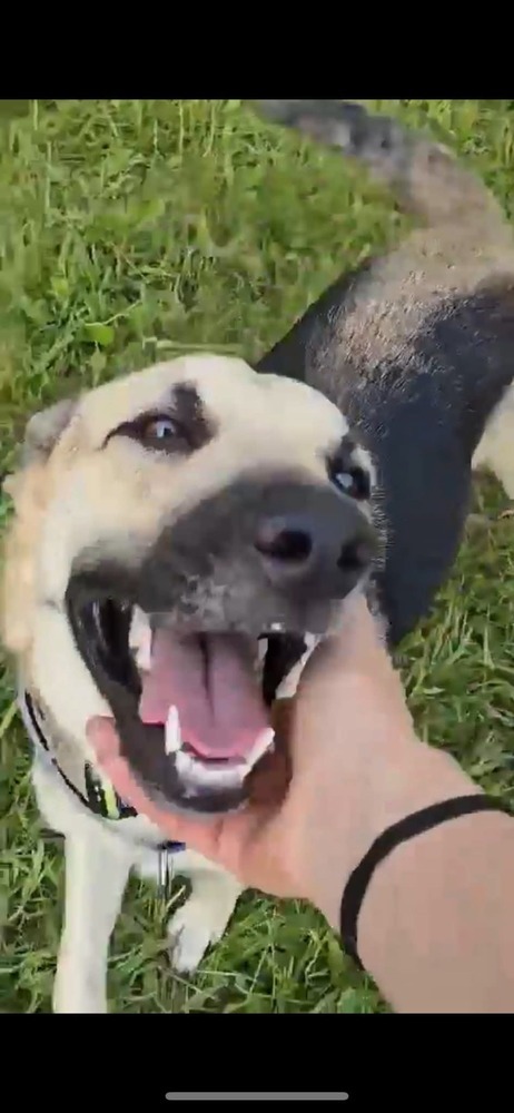 Zora