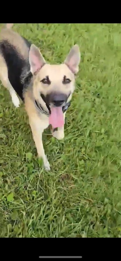 Zora