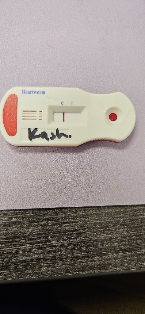 Kash