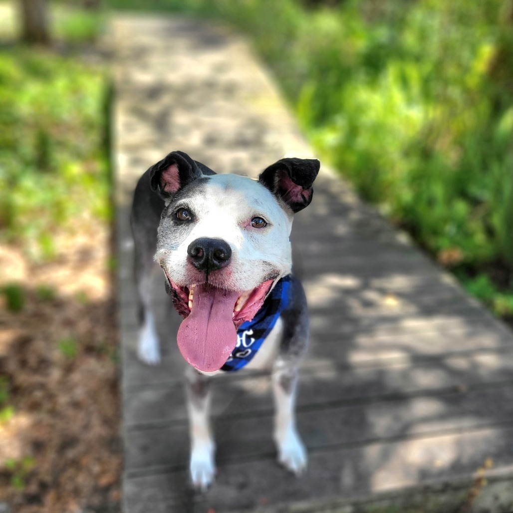 Diego