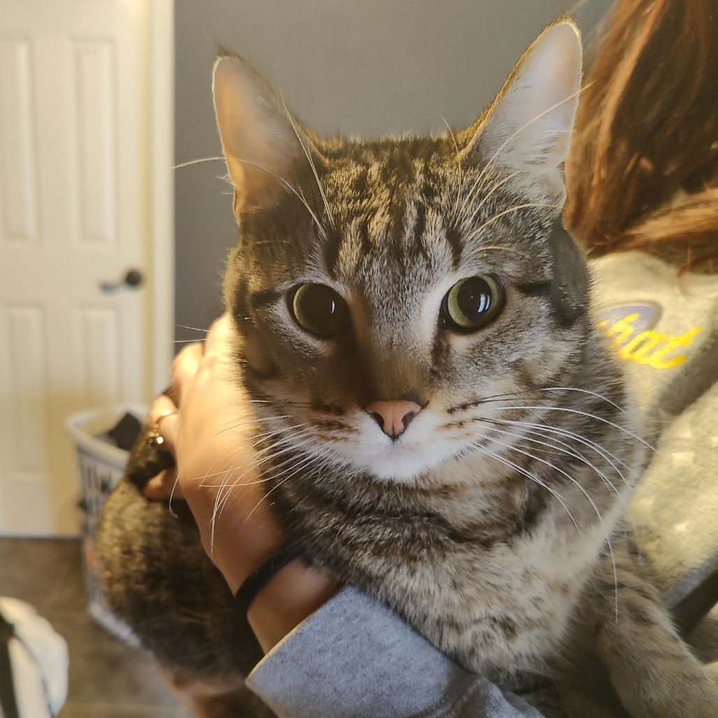 Milo