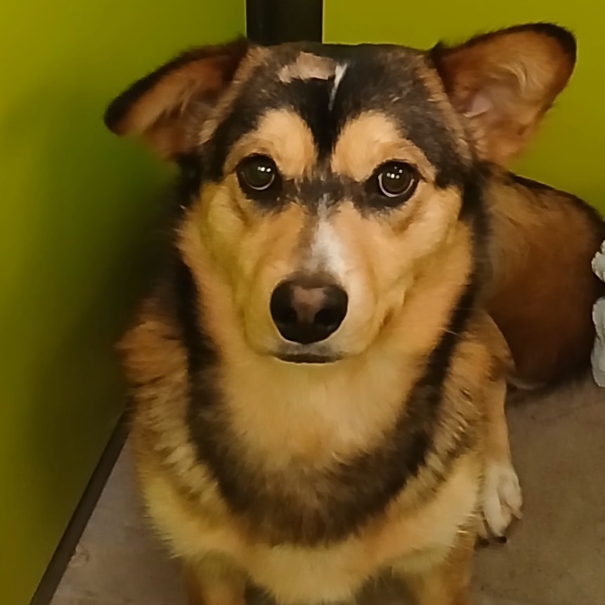Gus