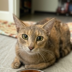 Meet Majesty a royal sweetheart with a curious heart and a growing appetite for